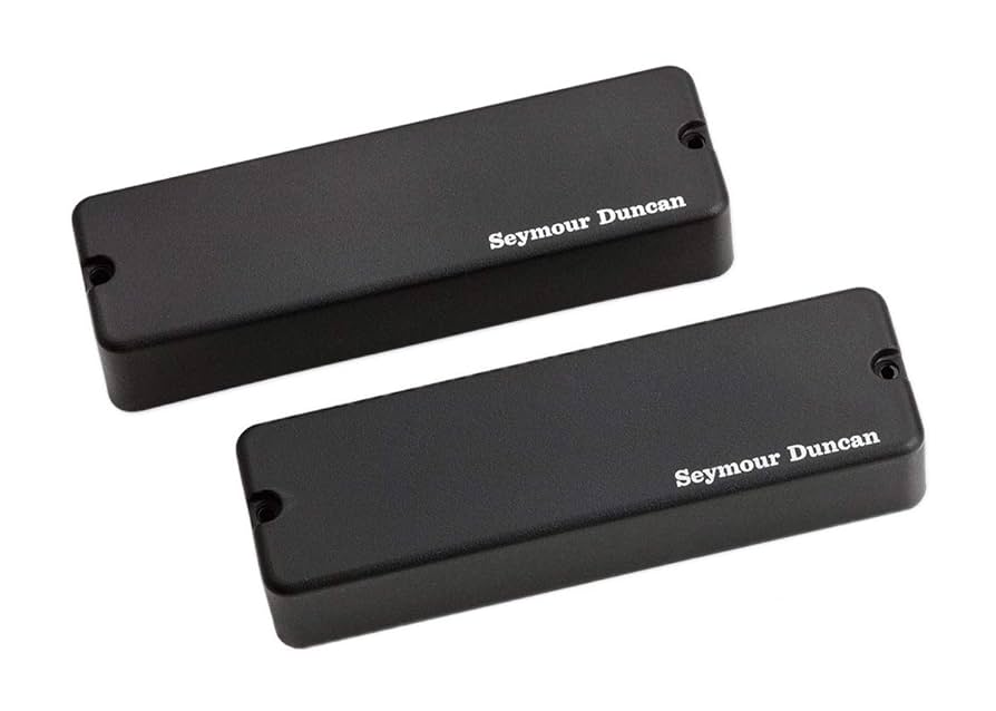 Amazon.com: Seymour Duncan ASB-5S 5-String Phase I Bass
